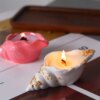 Two decorative candles in shell-shaped holders are lit, one in a pink holder and the other in a white holder with gold accents. These Seashell Scented Candle Jars bring a coastal charm to the table.